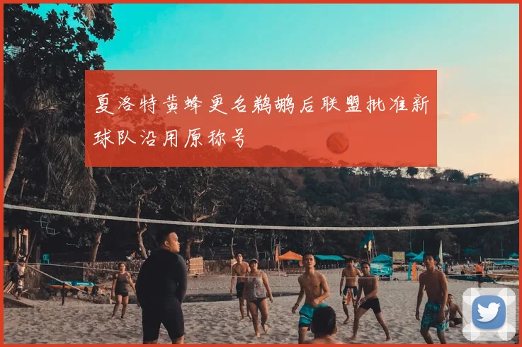 夏洛特黄蜂更名鹈鹕后联盟批准新球队沿用原称号