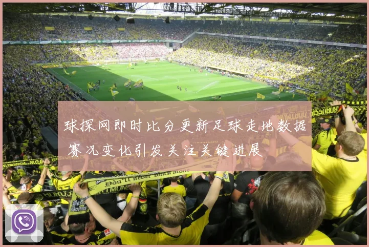球探网即时比分更新足球走地数据 赛况变化引发关注关键进展